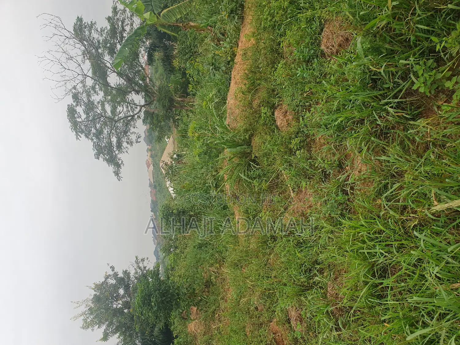 Land for Sale at Santasi Ahema Kokoben