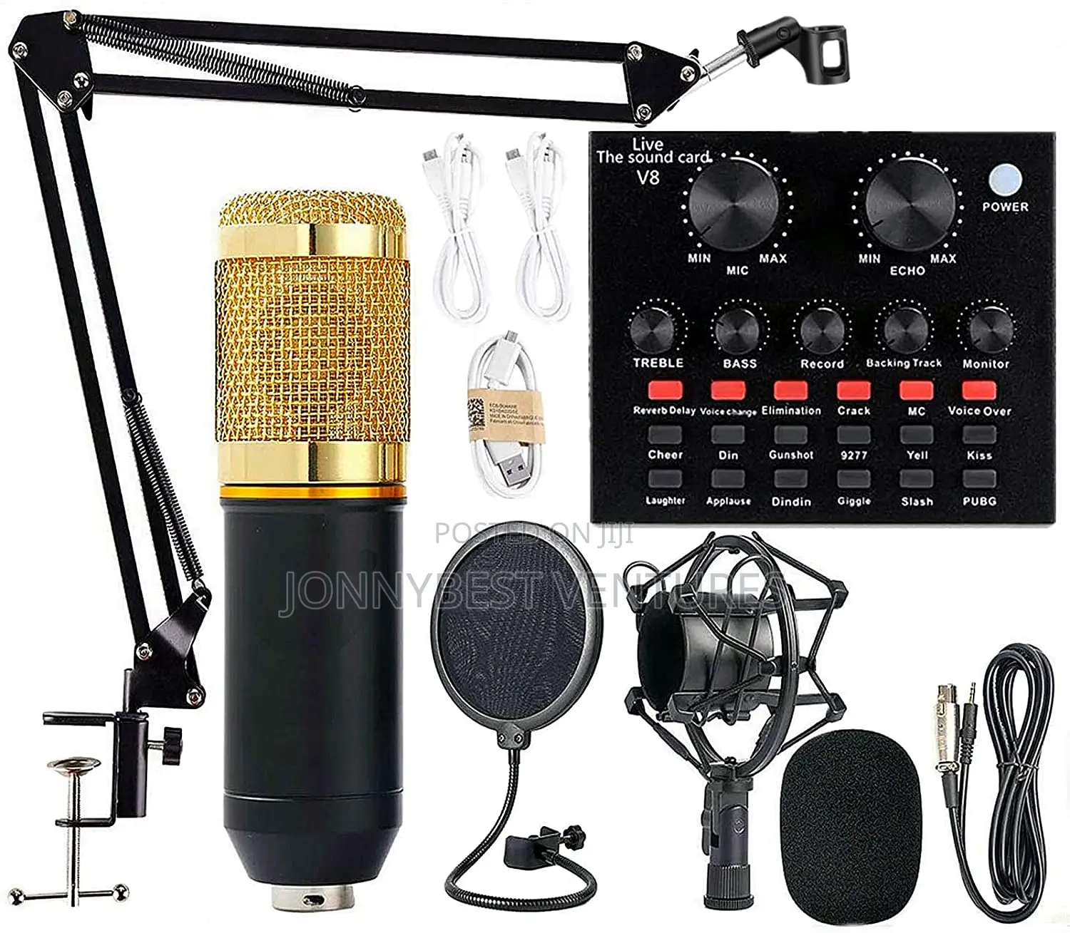 Professional Condenser Microphone