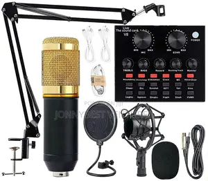 Professional Condenser Microphone