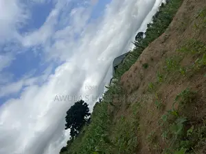 Plot of Land for Sale