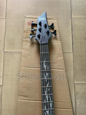 Peavey Passive Bass Guitar