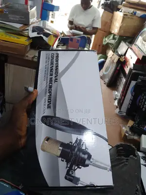 Professional Condenser Microphone