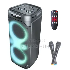 Professional Party Speaker With Two Microphones