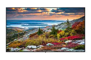 Panasonic Th-55cqe1w 55" Class Uhd Commercial Monitor