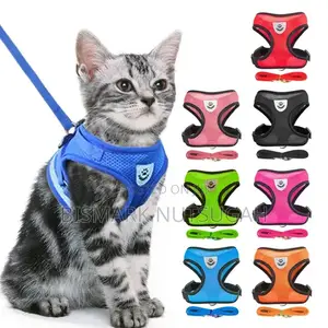 Cat and Dog Chain for Sale