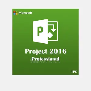 Project 2016 Pro - 1PC - Bind to Motherboard