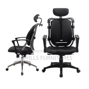 Adjustable Back Support Chair