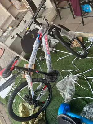 Bicycle (Adult)