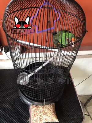 Jardine Parrot Cage Series 0003