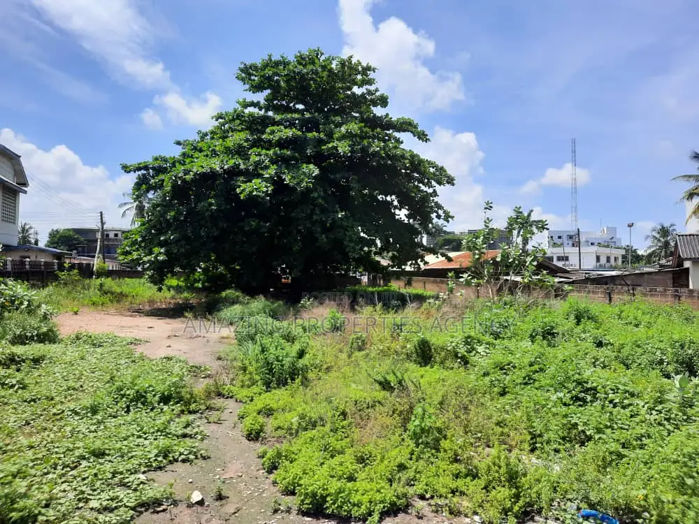 A 2 Acres of Land Available Around Dzowulu Perez