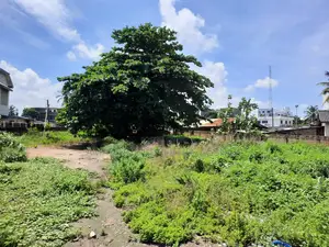 A 2 Acres of Land Available Around Dzowulu Perez