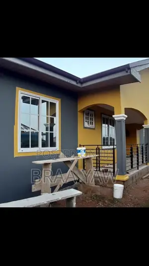 Pro Painter Self Contain Painting