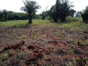 Land for Residence