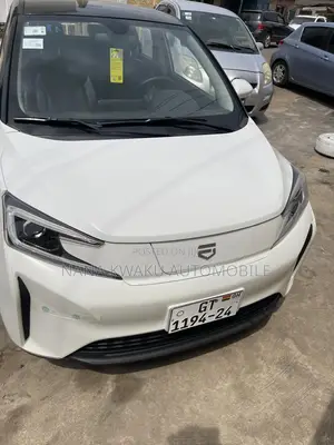 Car 2019 White