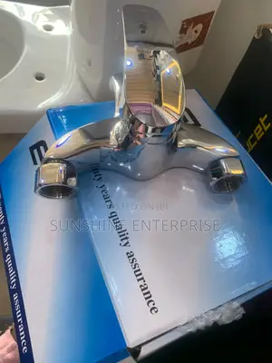 Evs 2in1 Telephone Shower