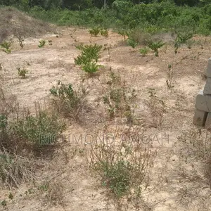 Full Plot for Sale at Queen of Peace Inside