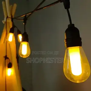 10m String Light With Bulb