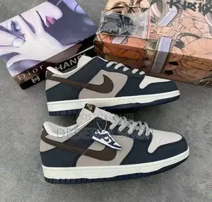 NIKE Sb Low Dunk Shoe