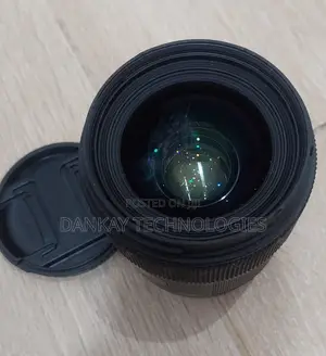 Canon Ef 24-105mm F/4l Usm Ii Lens