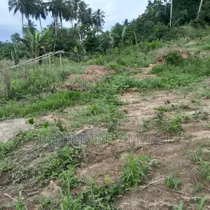Plot for Sale at Kansa Knust