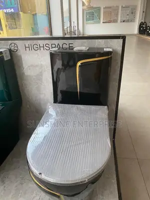 Black and Gold Water Closet