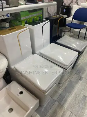 Luxury White And Gold Water Closet