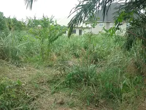 Plot of Land for Sale at Tanoso Abuakwa Koforidua