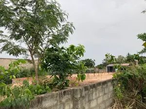 Two Plots of Land for Sale Located at Dowdowa Road