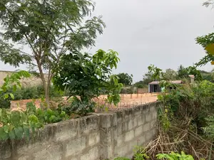 Two Plots of Land for Sale Located at Dowdowa Road
