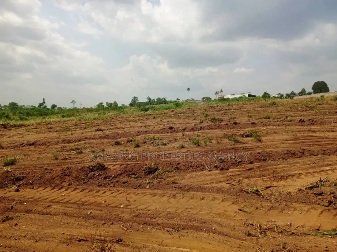 120x100 Plot of Land for Sale at Spintex