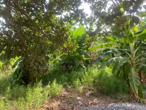 120x100 Plot of Land for Sale at Spintex