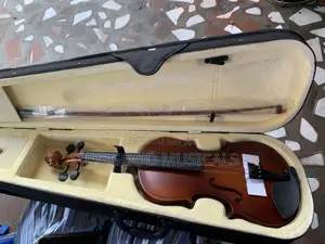 Violin With Gig Case(4/4)