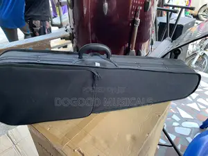 Violin With Gig Case(4/4)