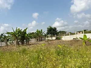 Lands for Sale in Amasaman Ayikai Doblo
