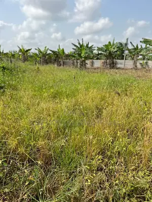 Lands for Sale in Amasaman Ayikai Doblo