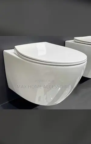 Concealed Water Closet
