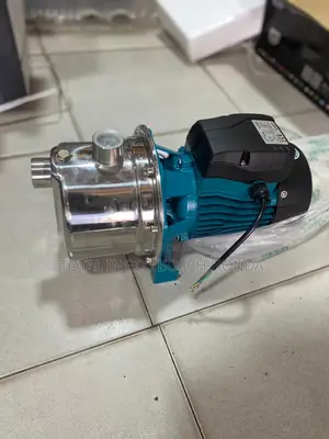 Water Pump Leo Water Pump(Stainless 1.5 Hp)