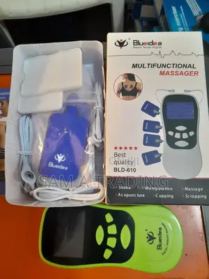Blueidea Multifunctional Massager (BLD-610)