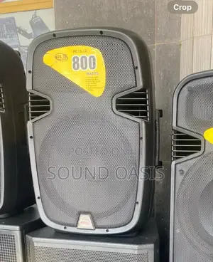 GLS 15inches Bluetooth Speaker With Two Microphones(800watt)