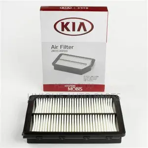 Hyundai 28113-A9100 Air Cleaner Filter