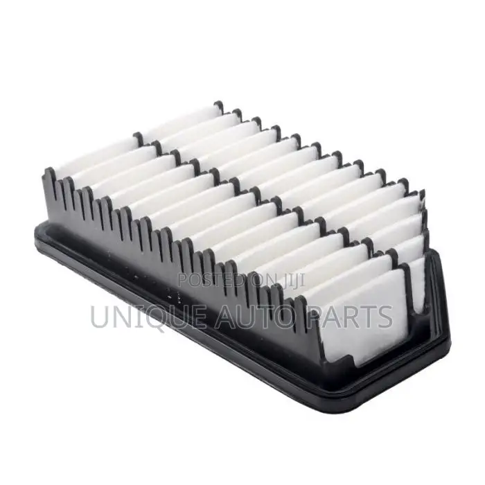 Hyundai 28113-1r100 Air Cleaner Filter