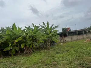 1 Plot of Land for Sale at Dansoman.