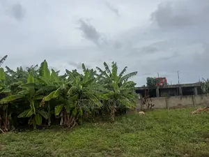 1 Plot of Land for Sale at Dansoman.