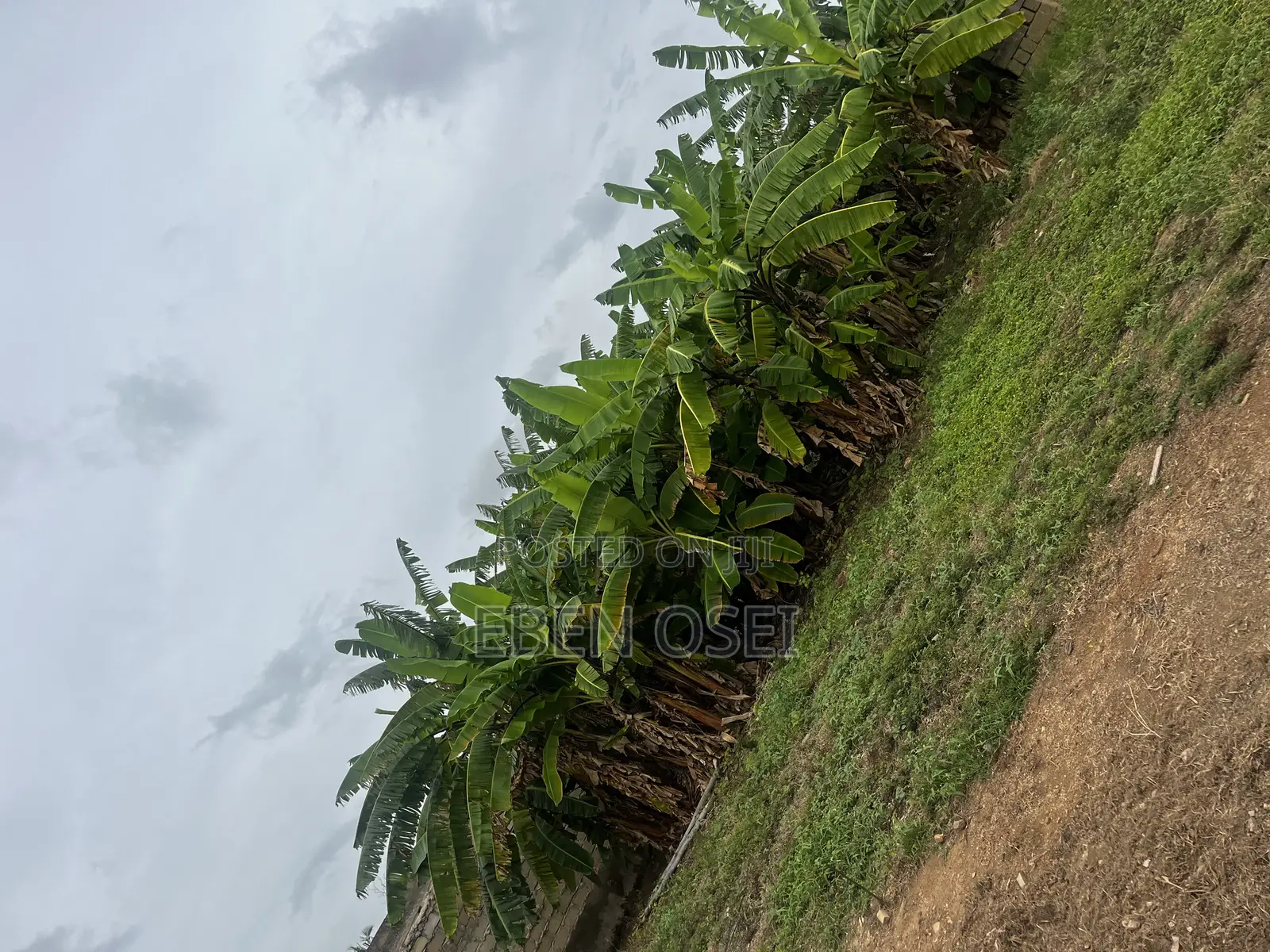 1 Plot of Land for Sale at Dansoman.