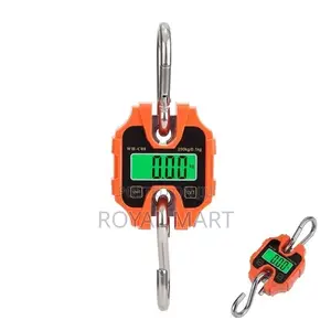 250kg Crane Scale
