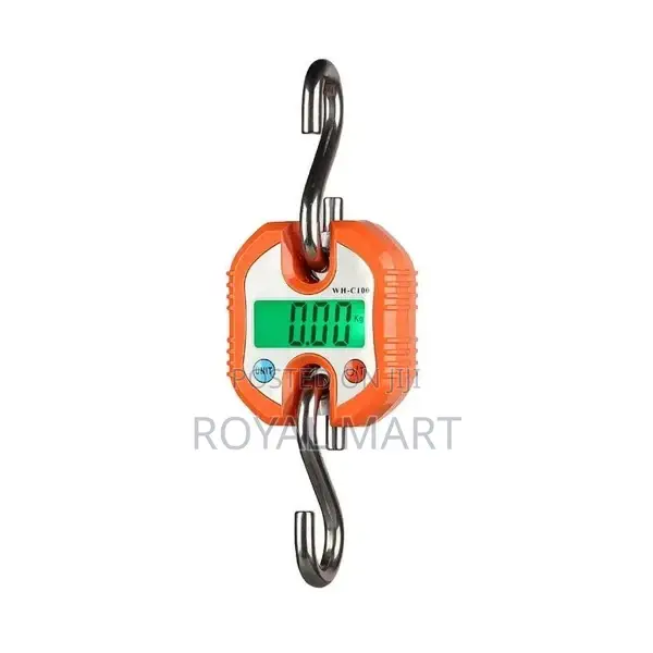 250kg Crane Scale