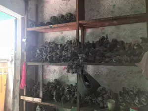 Home Use And Brand New Starters Alternators