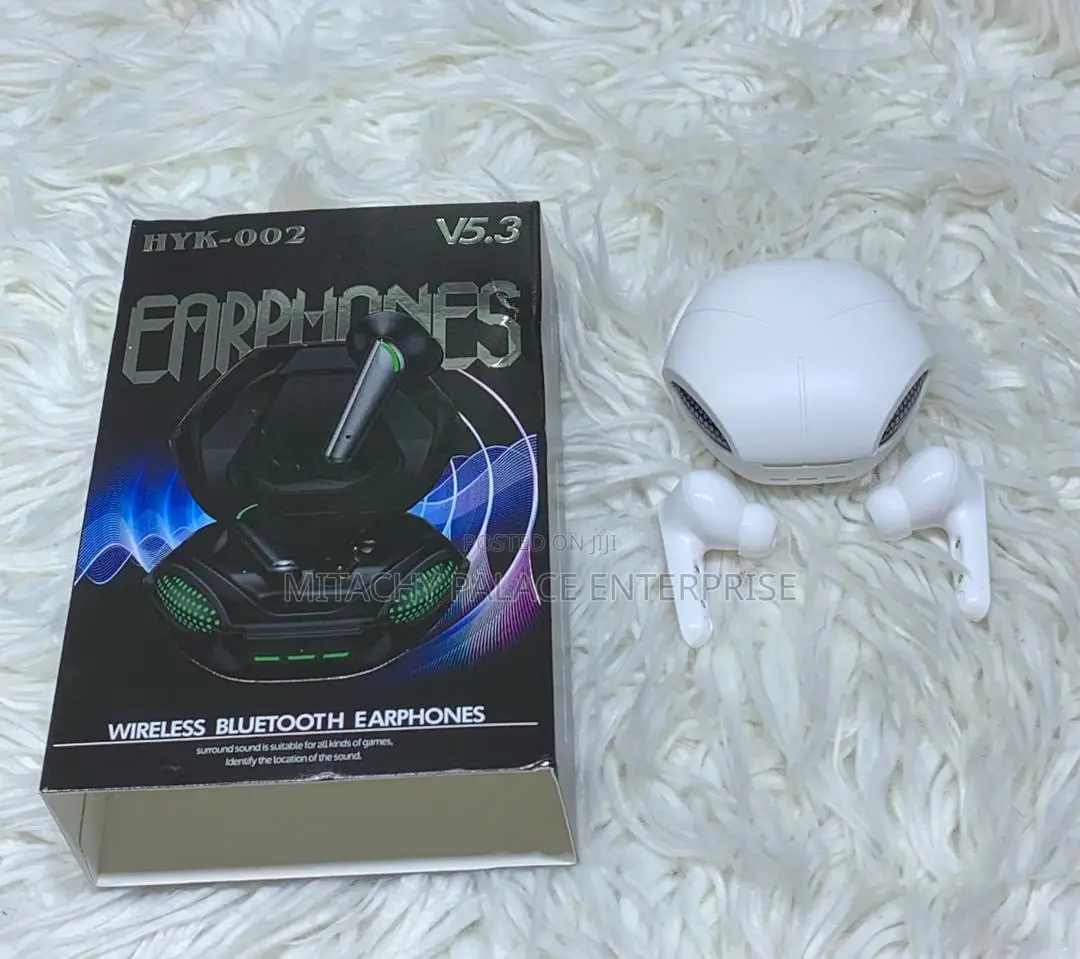 V5.3 Bluetooth Earphones