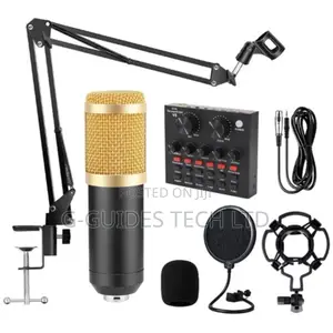 Professional Condenser Microphone, Recording Stand Mic