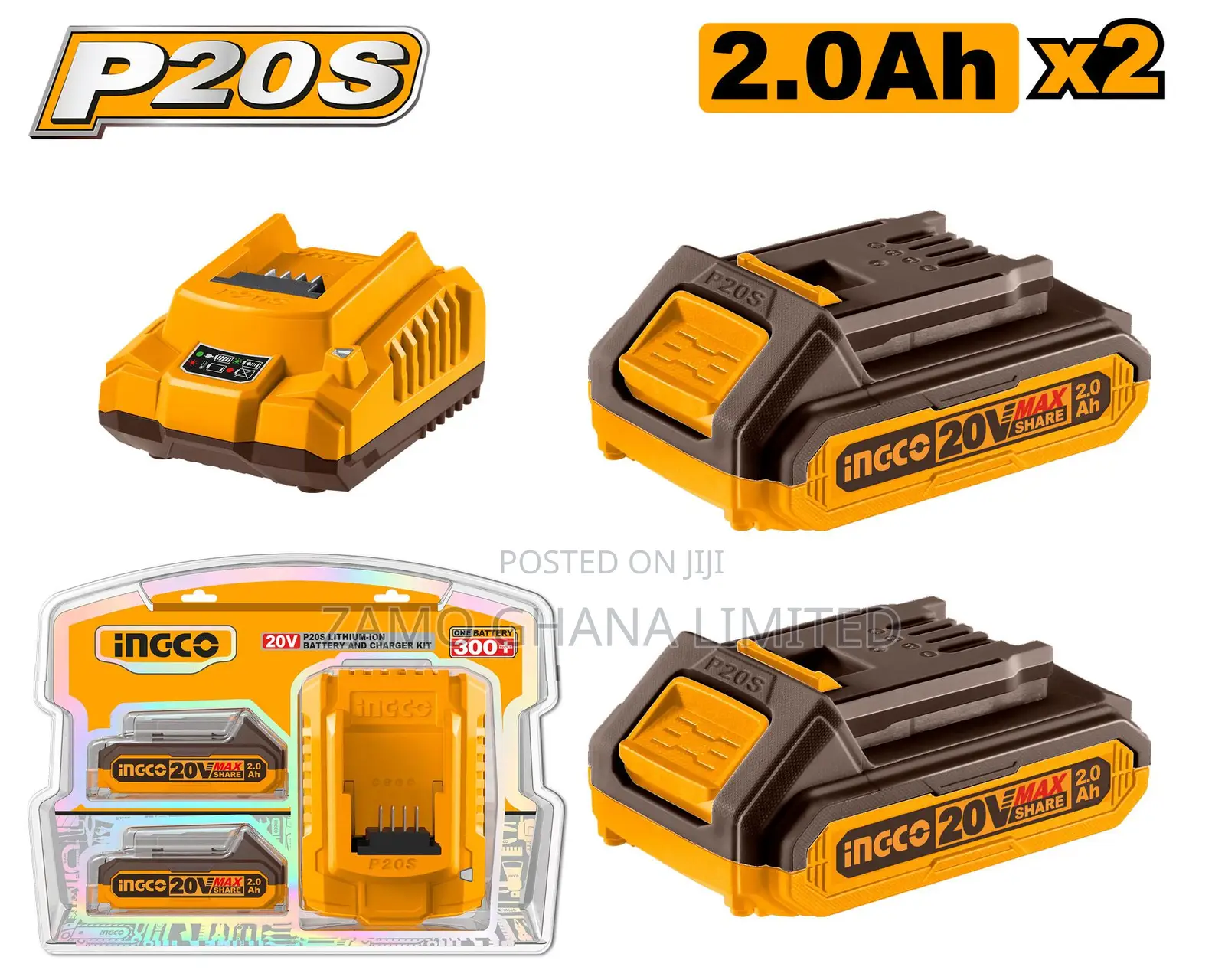 P20s Lithium-Ion Battery and Charger Kit - Fbcpk1222